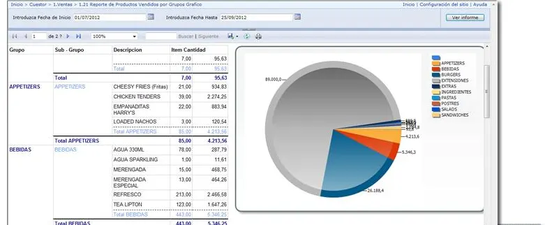 Cuestor reports: sales by product group with chart