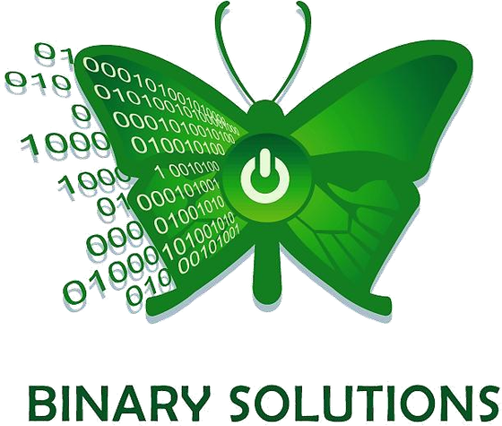 The original Binary Solutions butterfly logo